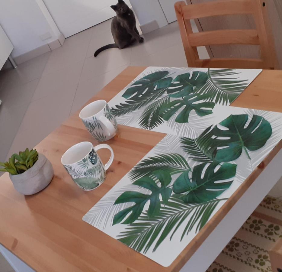 코스타델실렌시오 Casa Tavio 6 Casa Tavio 7 아파트 외부 사진